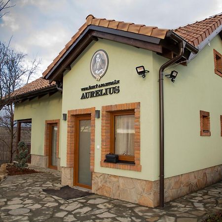 Vinarsky Penzion Andre Velké Pavlovice Εξωτερικό φωτογραφία
