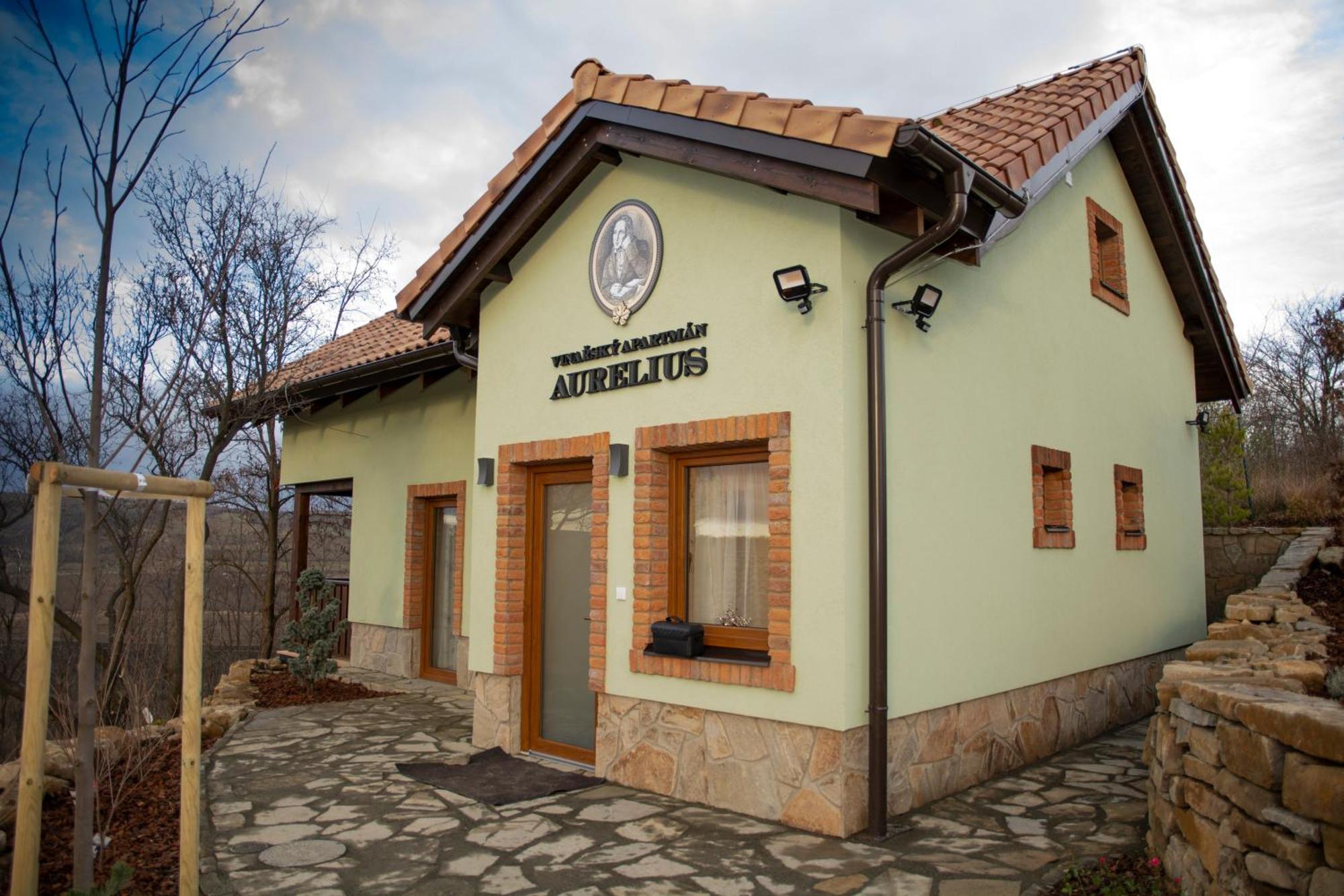 Vinarsky Penzion Andre Velké Pavlovice Εξωτερικό φωτογραφία
